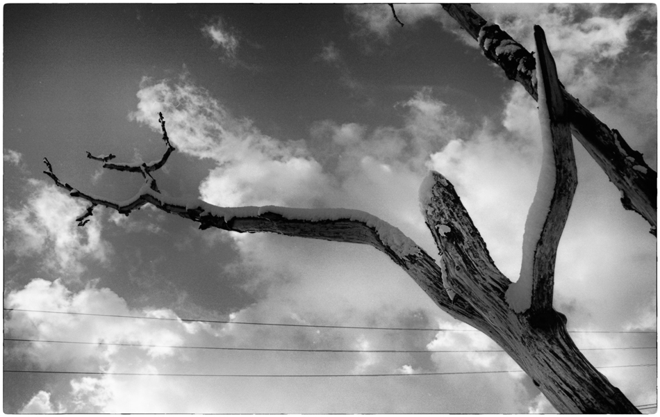 ���������� ����������� �������