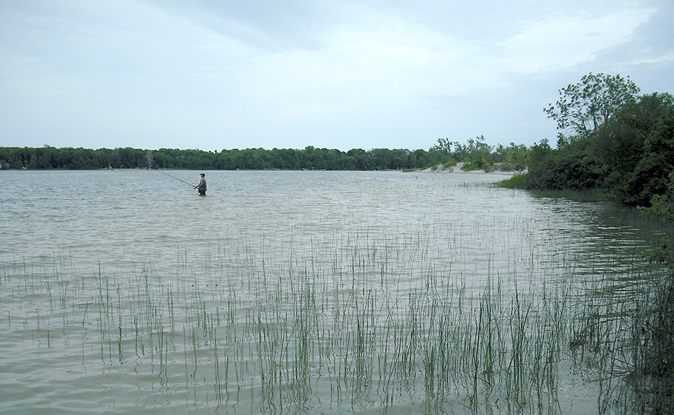 ���������� ���� ���, ������� � ������...