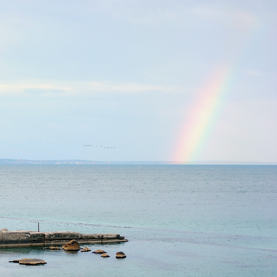 ���������� *