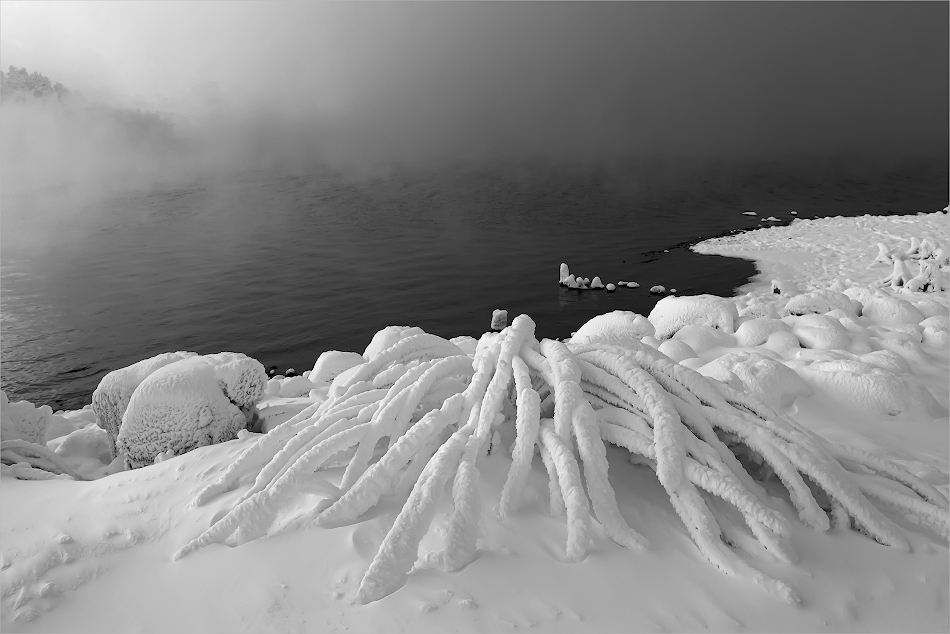 ���������� �����������...