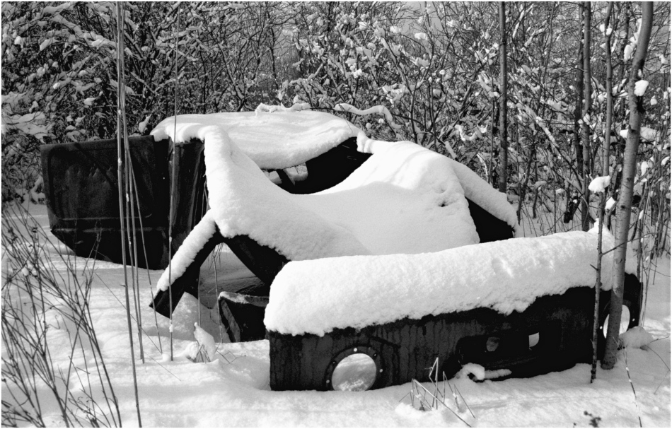 ���������� ***