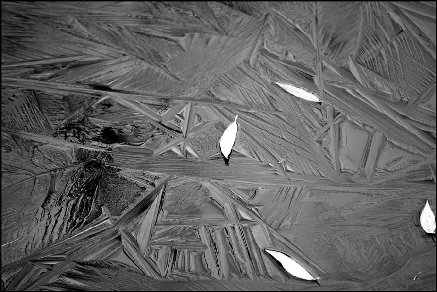 ���������� 0652-1