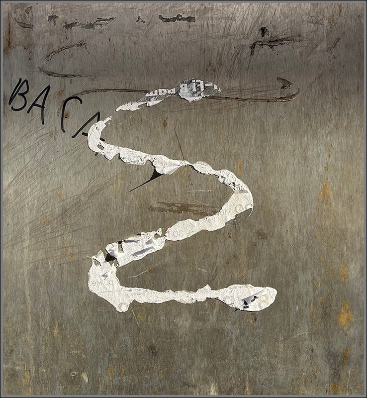 ���������� ZZ