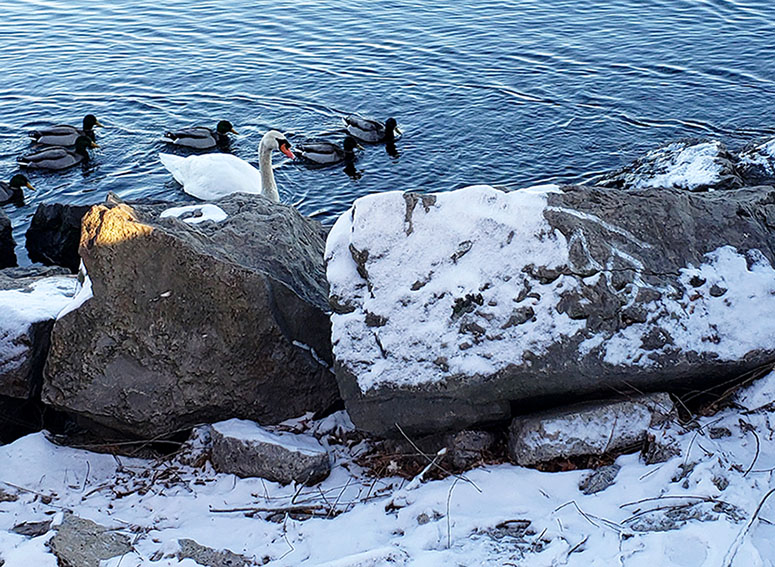 ����������  ��������� ������