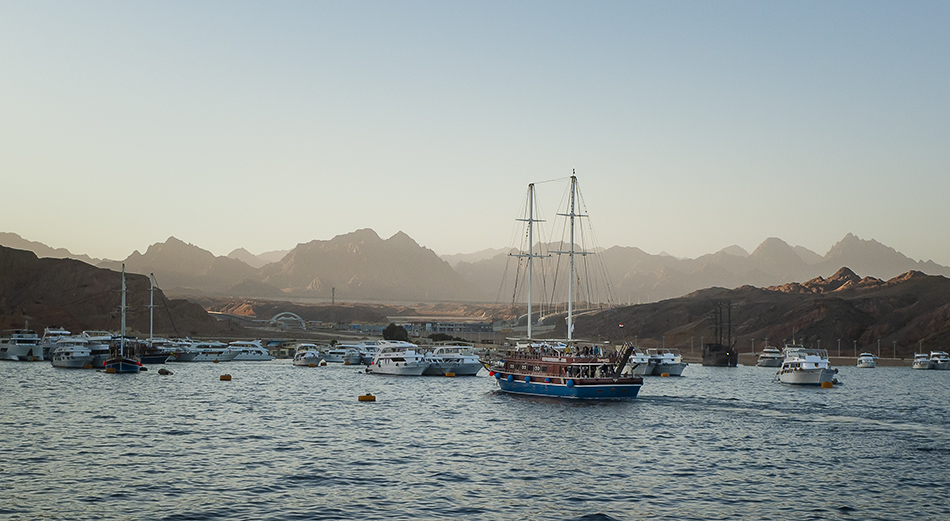 ����������  ��������� - ��� ���... 