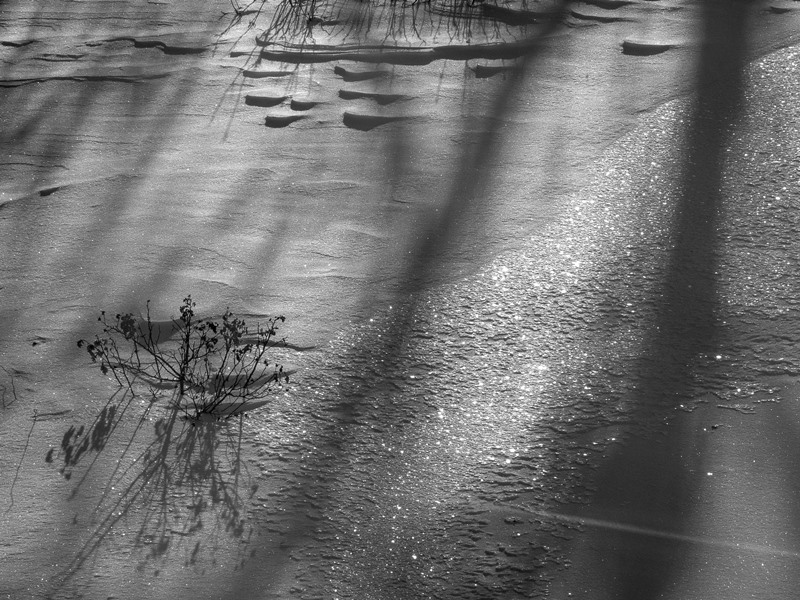 ���������� ***