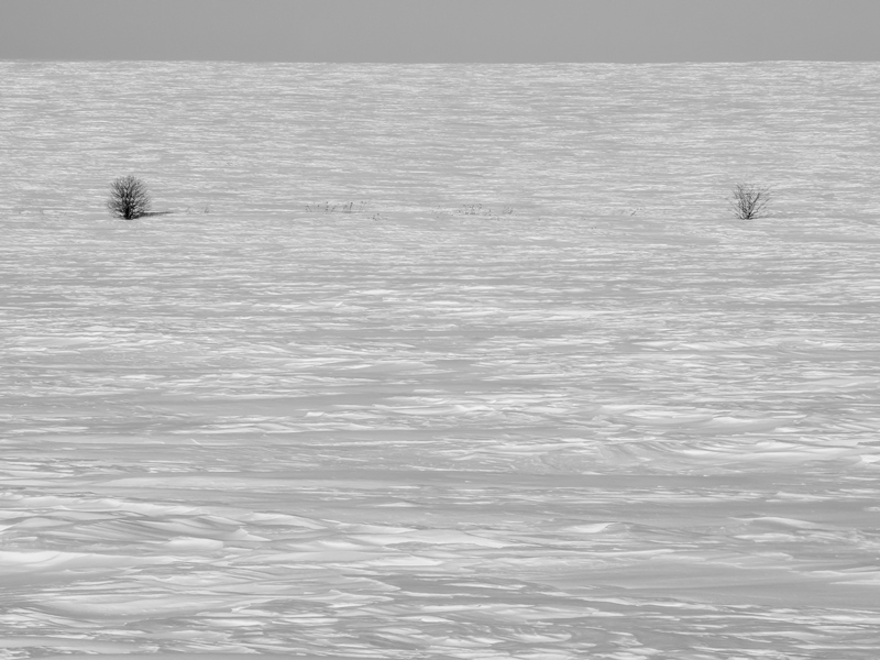 ���������� ***