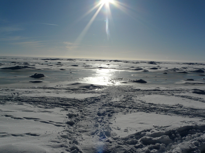 ���������� ��������� ��������� ���� ����