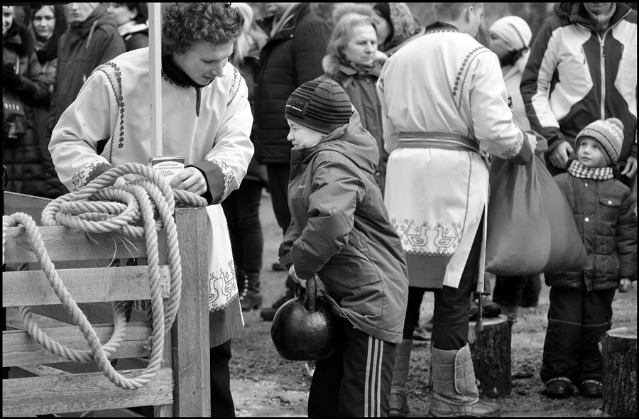 ���������� 8800