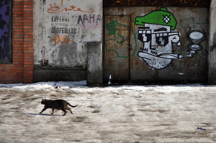 ���������� 7716