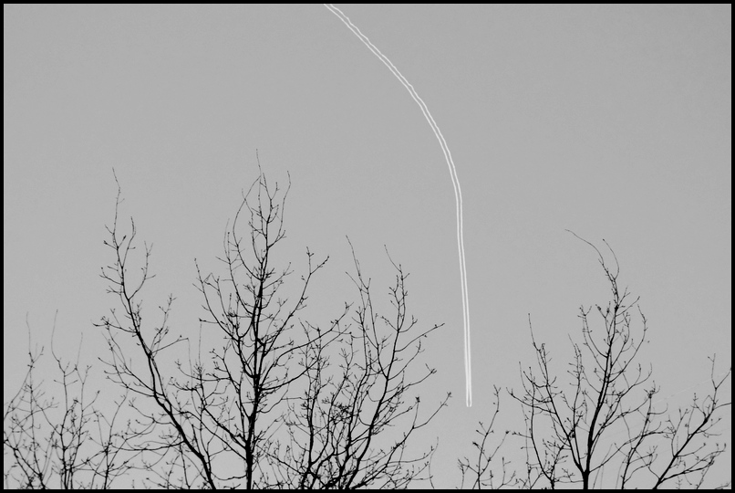 ���������� ****