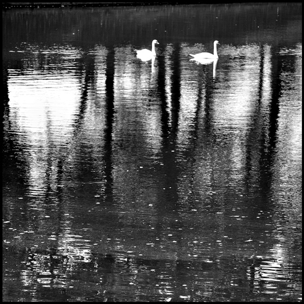 ���������� 1372-1