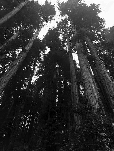 ���������� �������