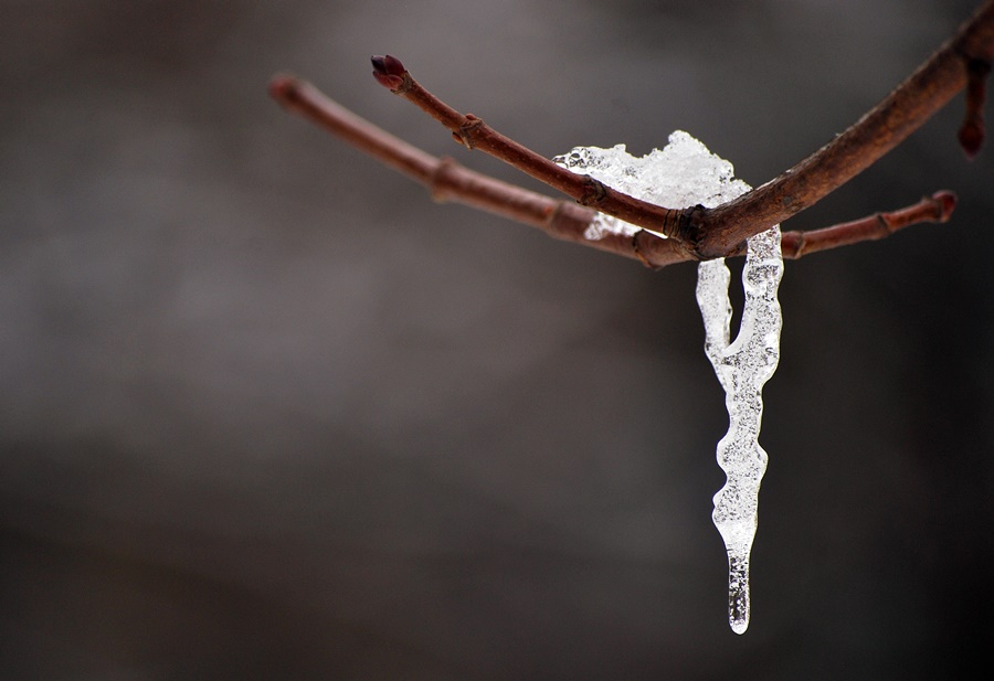 ���������� 0126