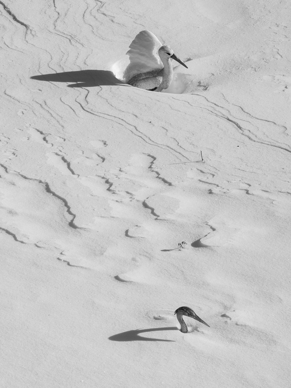 ���������� ***