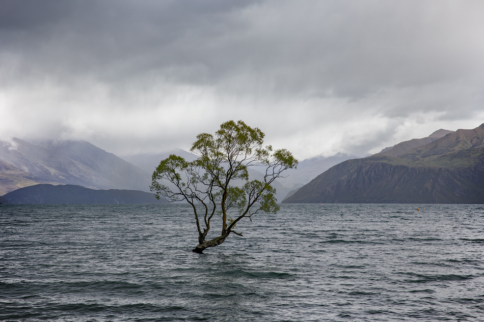 ���������� =NZ��������=