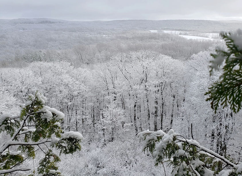 ���������� �������-����