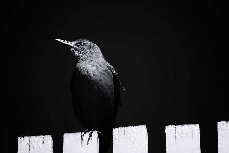 ���������� ������ �����, � �� ����