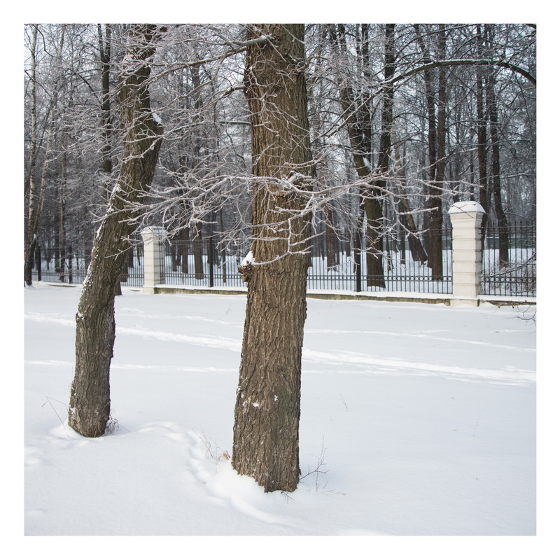 ���������� ***