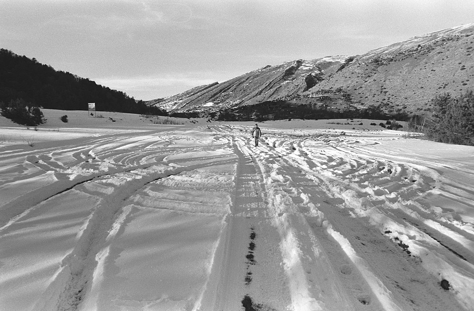 ���������� ***