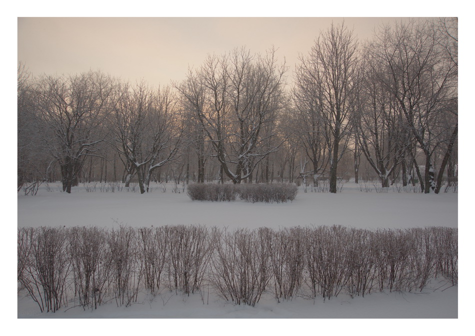 ���������� ***