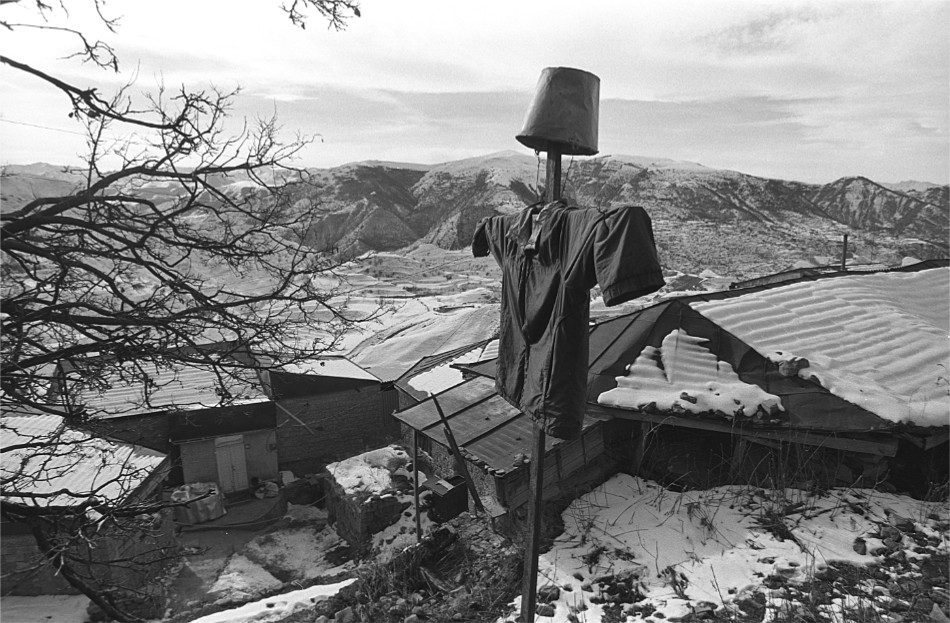 ���������� ***