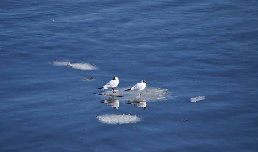 ���������� ��������, ��� ��������...