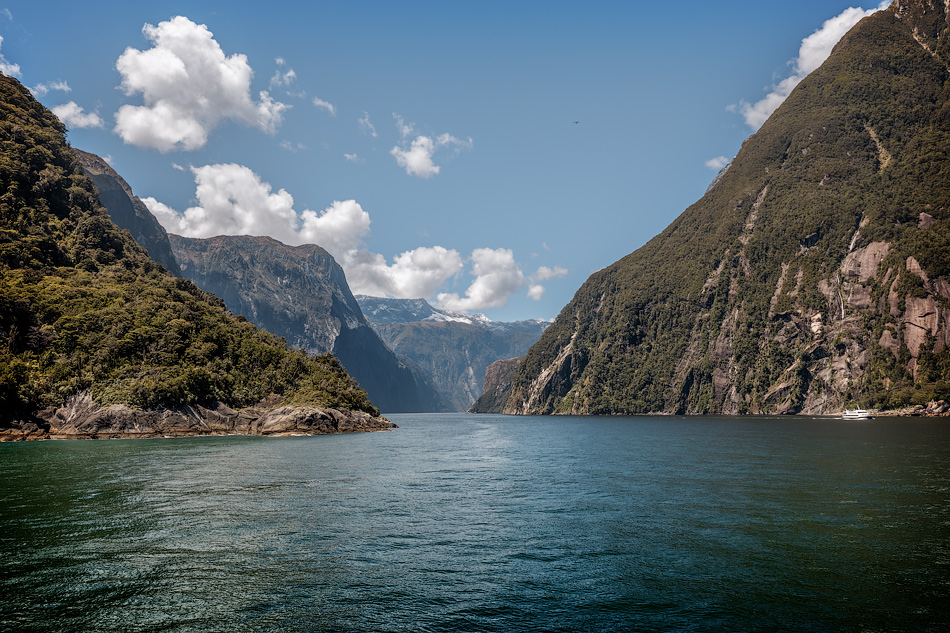 ���������� =NZ��������=