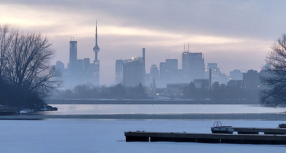 ���������� ****