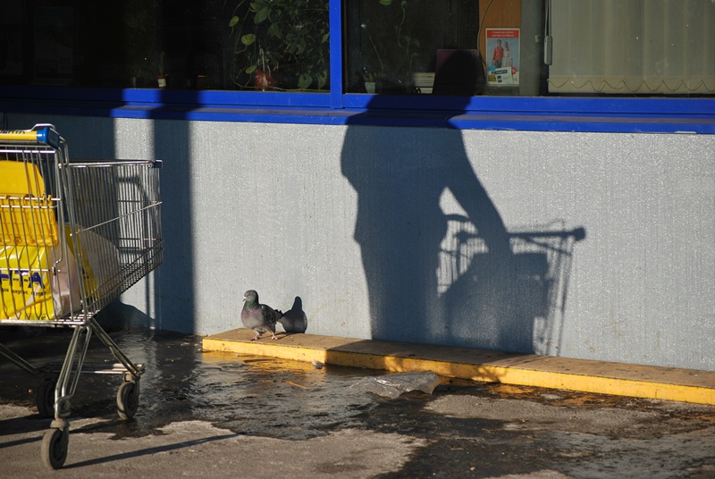 ���������� 085