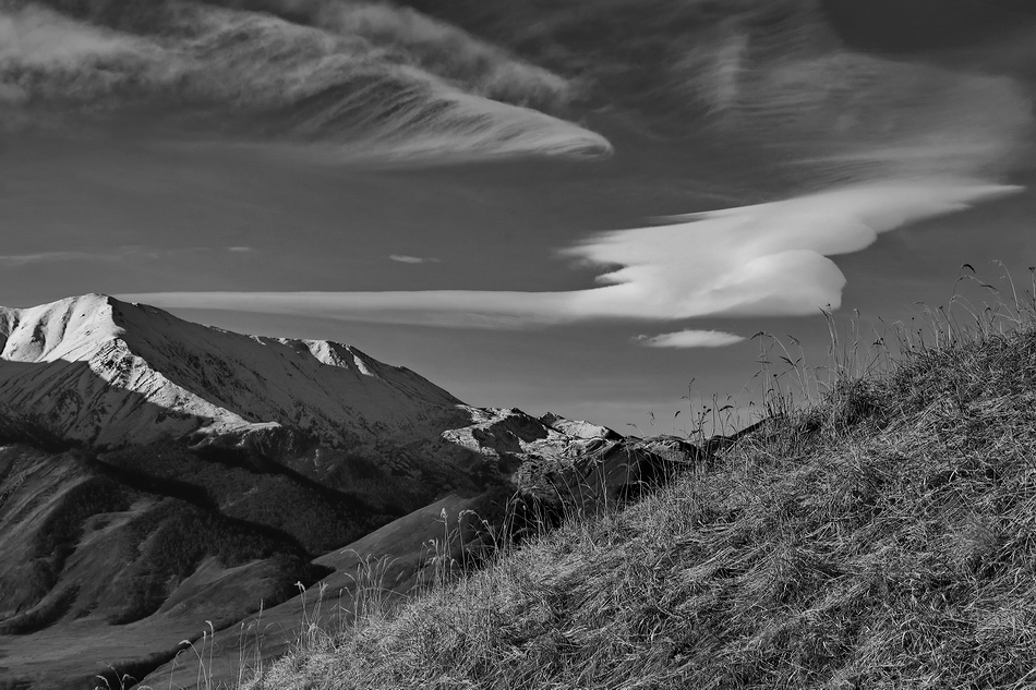 ���������� ***