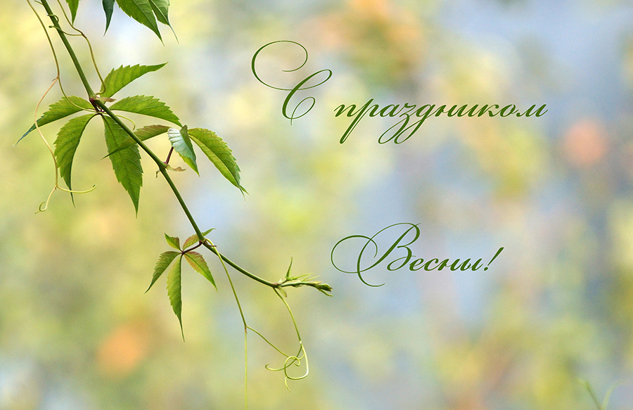 ���������� ����������