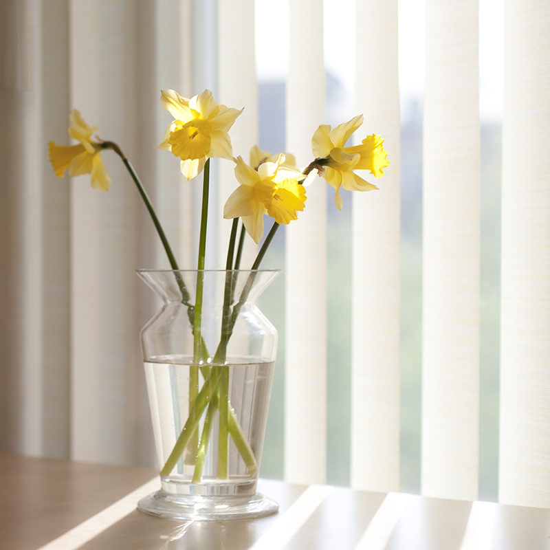 ���������� � ����������, ����� ���� :)