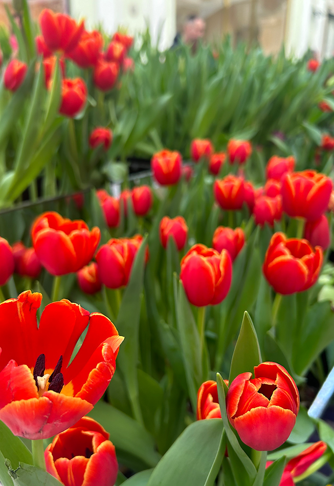 ���������� ��������� ���!