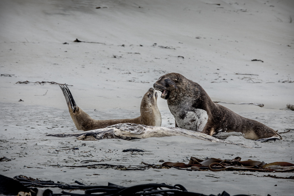 ���������� =�����=