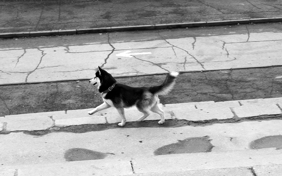 ���������� ��������� �����!