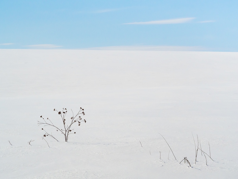 ���������� ***