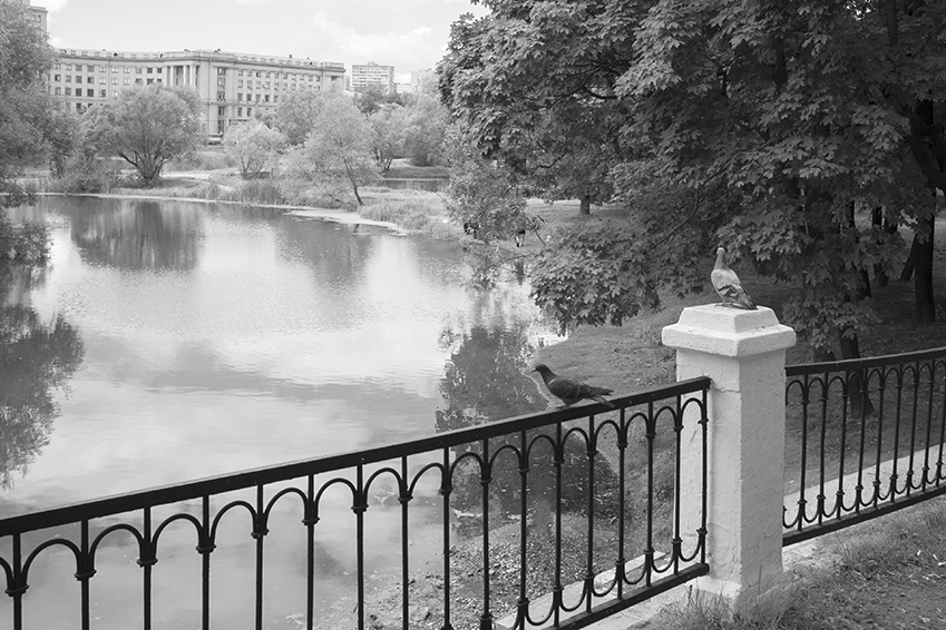 ���������� ���������� �����...