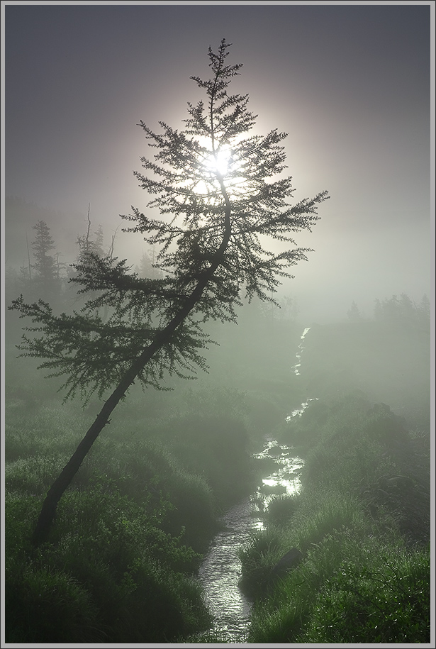 ���������� ������ ����. �����.