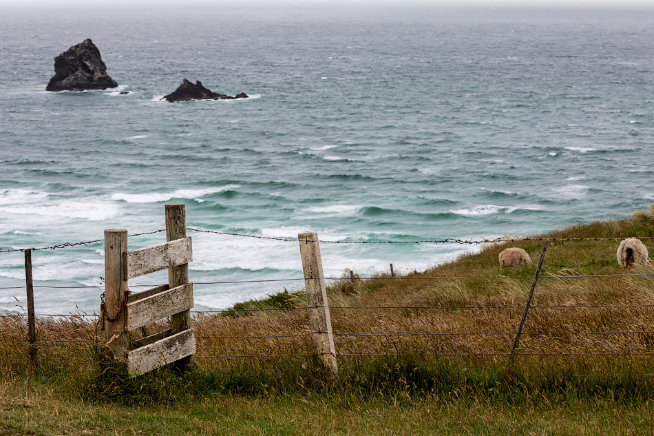 ���������� =NZ��������=