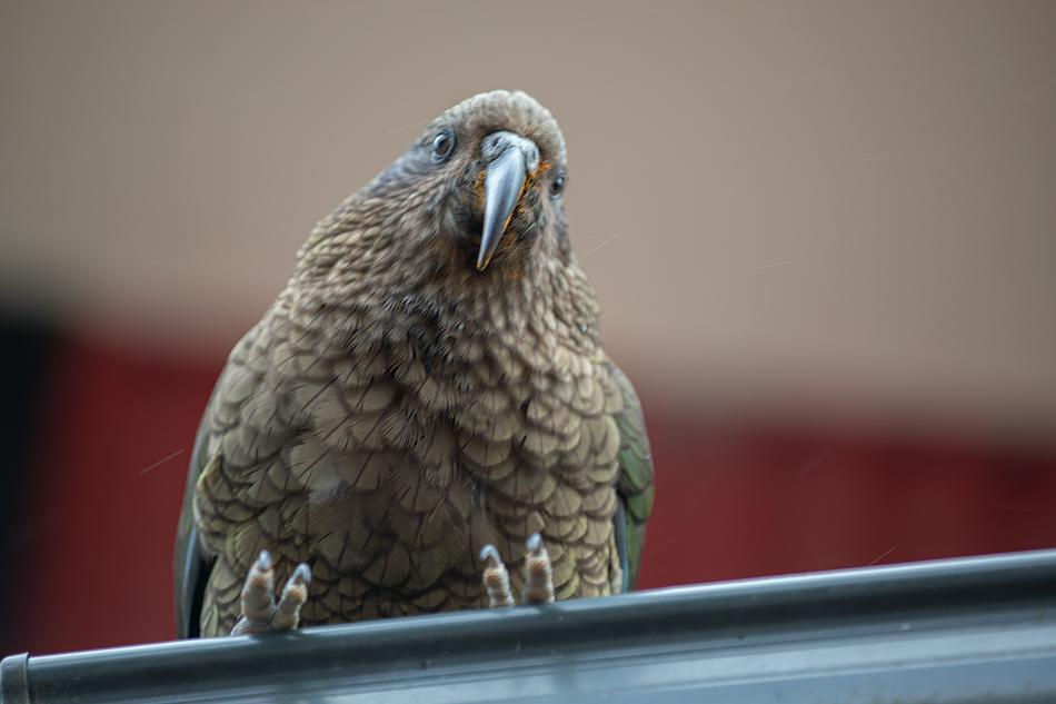 ���������� =������=