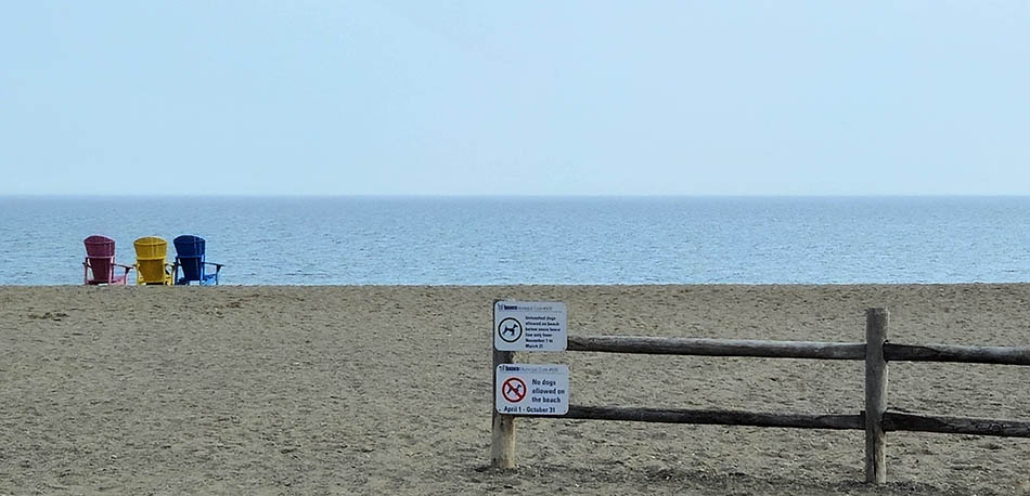 ���������� ���������