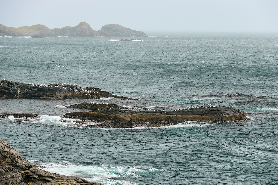 ���������� ***