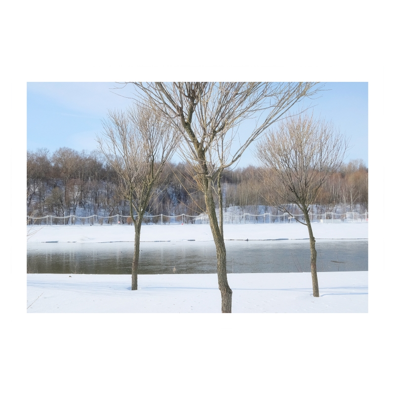 ���������� 1714