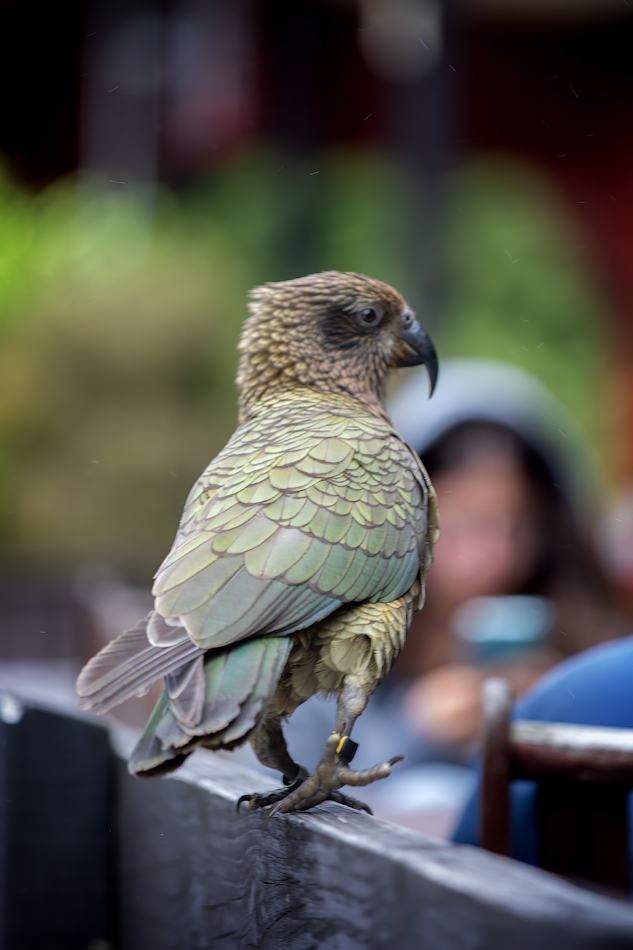 ���������� =������ I=