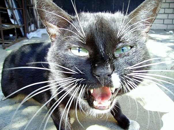 ���������� ������� 13