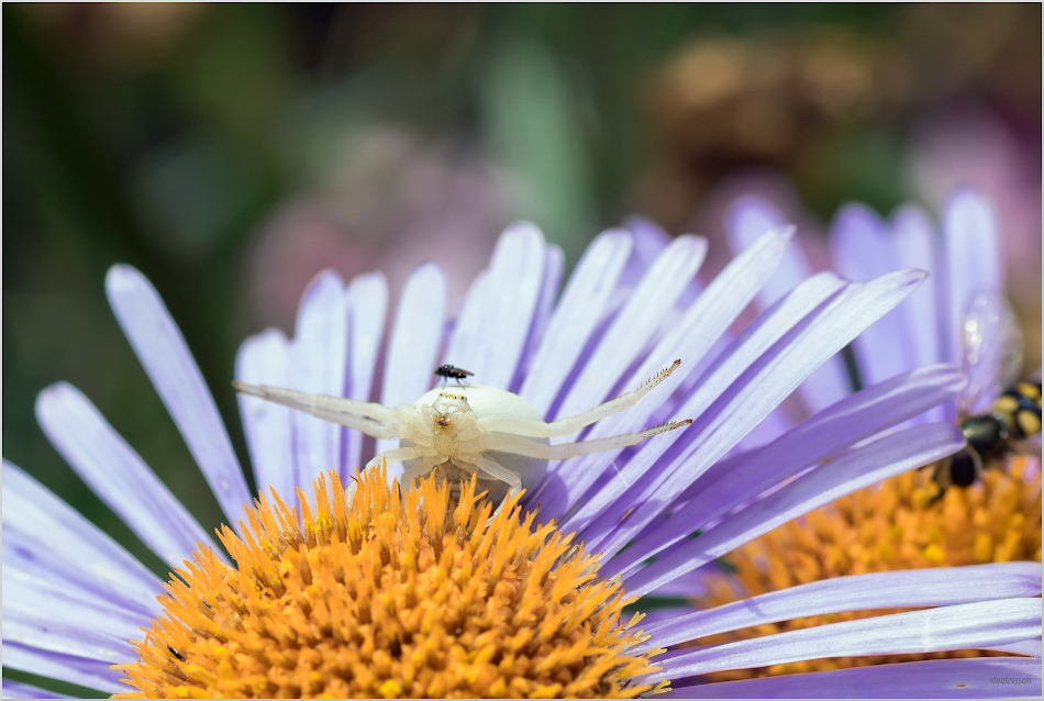 ���������� - ��!