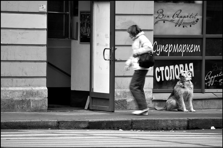 ���������� 8209