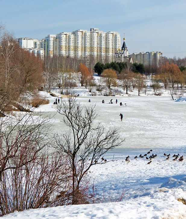 ���������� ����������� ���� ������