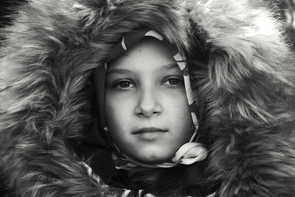 ���������� ������ ����� ������